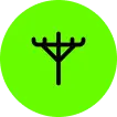 icon 15